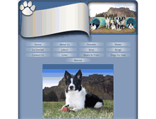 Tablet Screenshot of hillcrestbordercollies.com